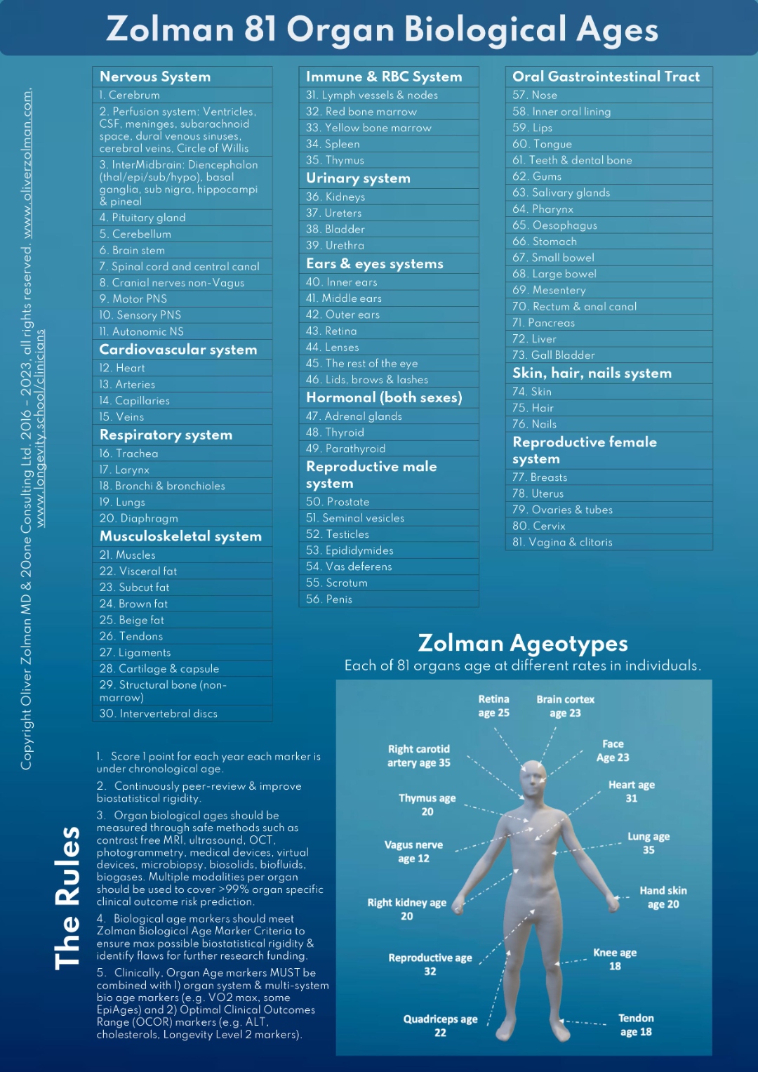 Zolman 81 Organ Biological Ages — each organ ages at different rates in individuals