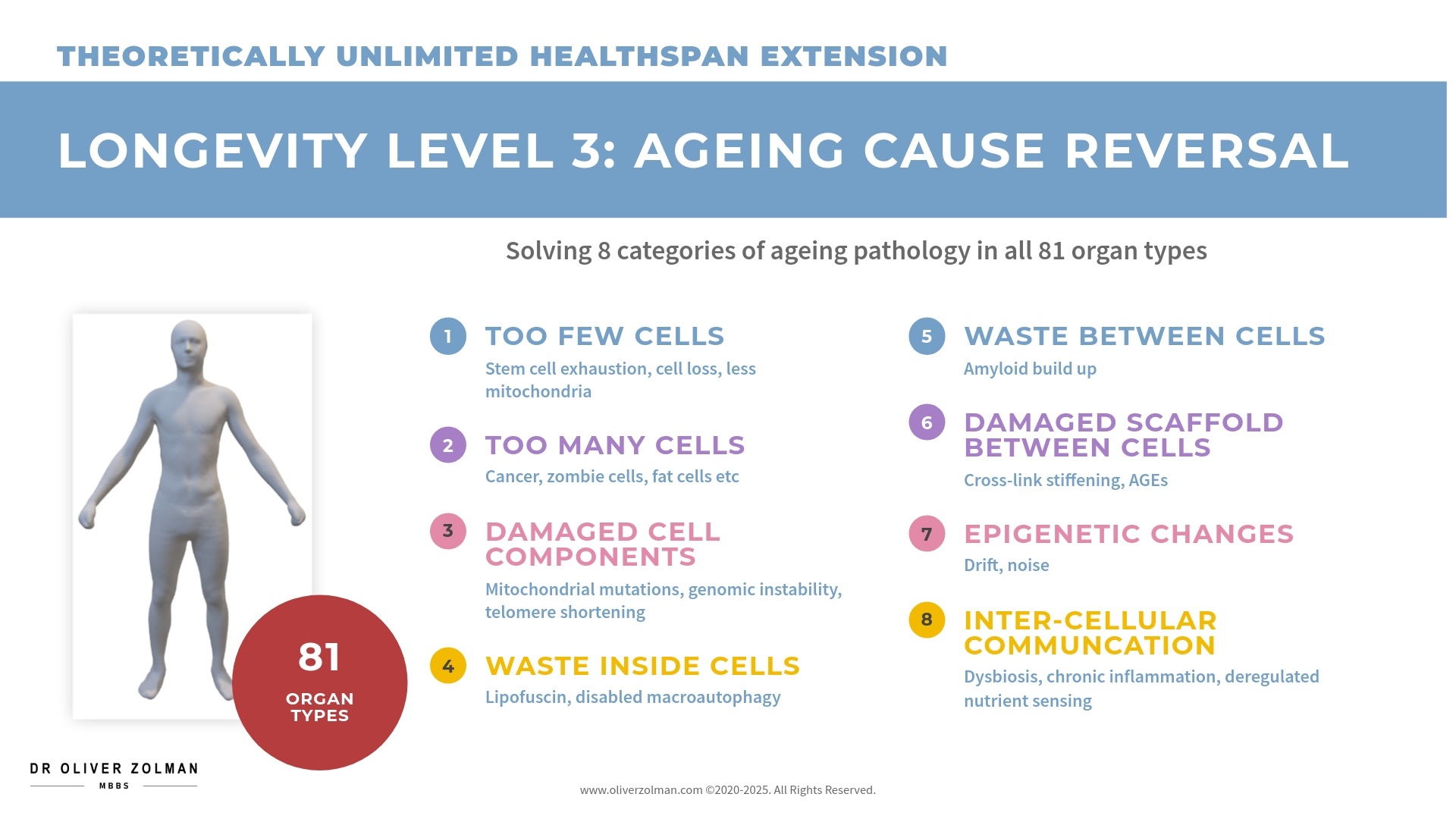 Level 3: Ageing Cause Reversal — solving 8 categories of ageing pathology in all 81 organ types